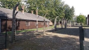 Auschwitz-Birkenau The only picture I took. 